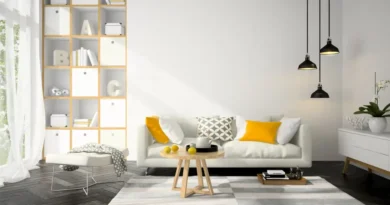 Objets décoratifs